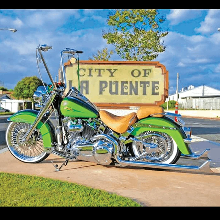 Platinum 8699-EBF Gloss Black Air Ride Bleed Feed Suspension Kit Harley EVO / Softail '86-'99 - Image 4